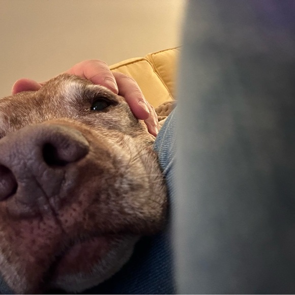 Meet your Posher, Cary - Picture 15 of 16